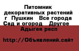 Питомник декоративных растений г. Пушкин - Все города Сад и огород » Другое   . Адыгея респ.